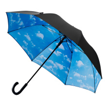 Falcone - Grote paraplu - Automaat - Windproof -  120 cm - Blauw - Topgiving