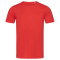 Stedman T-shirt Crewneck Finest Cotton-T for him - Topgiving