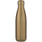 Cove vacuüm geïsoleerde roestvrijstalen fles van 500 ml - Topgiving